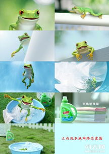 广州番禺企业宣传片与三维动画展示，为何腾视文化动漫制作备受青睐？